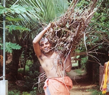 Firewood